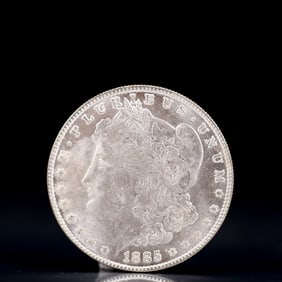USA Morgan Dollar 1885 Coin