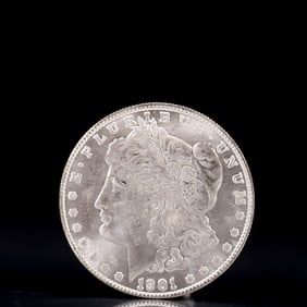 USA Morgan Dollar 1901 Coin