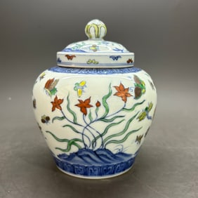 A Rare Doucai Insect and Grass Pattern Tianzi Jar