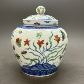 A Rare Doucai Insect and Grass Pattern Tianzi Jar