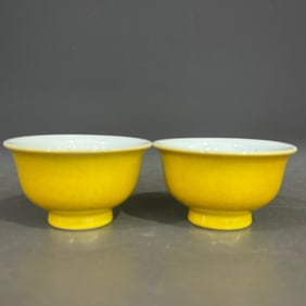 A pair of Rare Yellow-glazed Inner Engraved Pattern Cup