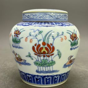A Rare Doucai mandarin duck and lotus pond pattern Tianzi Jar