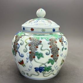 A Rare Doucai Butterfly Grape Pattern Tianzi Jar