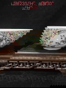 A Rare Famille-Rose Flower and Bird Pattern Bowl