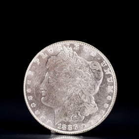 USA Morgan Dollar 1886 Coin