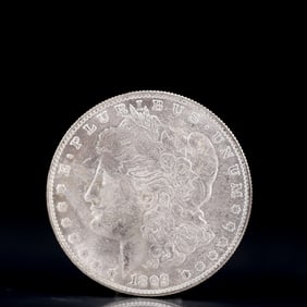 USA Morgan Dollar 1893 Coin