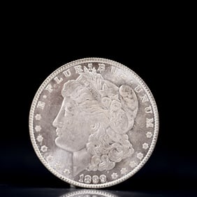 USA Morgan Dollar 1899 Coin