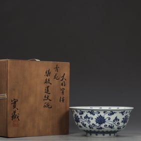 An Exquisite Blue and White Lotus Pattern Bowl