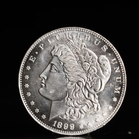 USA Morgan Dollar 1899 Coin