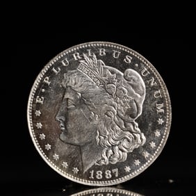USA Morgan Dollar 1887 Coin