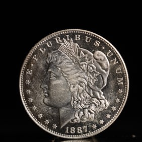 USA Morgan Dollar 1887 Coin