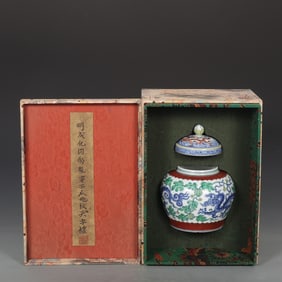 An Exquisite Doucai Lotus Pattern Dragon Pattern Jar