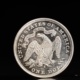 USA One Dollar 1871 Coin
