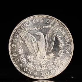 USA Morgan Dollar 1878 Coin