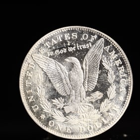 USA Morgan Dollar 1881 Coin