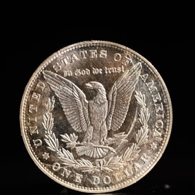 USA Morgan Dollar 1921 Coin