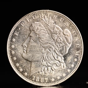 USA Morgan Dollar 1887 Coin