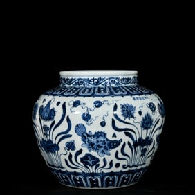A Rare Blue and White Fish and Algae Pattern Jar