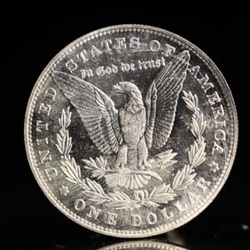 USA Morgan Dollar 1881 Coin