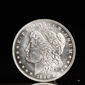 USA Morgan Dollar 1899 Coin