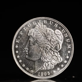 USA Morgan Dollar 1895 Coin