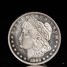 USA Morgan Dollar 1883 Coin