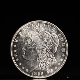 USA Morgan Dollar 1896 Coin
