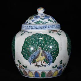 An Exquisite Doucai Peacock Pattern Cover Jar