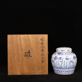 An Exquisite Blue and White Flower Pattern Jar with Cover