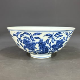 A Rare Blue and white Rock and Camellia Pattern Bowl