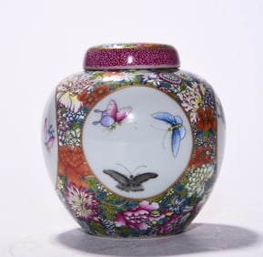 A Rare Enamel  Myriad Flowers Window-Opening Butterfly Pattern Tea Jar