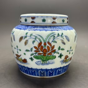 A Rare Doucai mandarin duck and lotus pond pattern Tianzi Jar