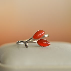 An Exquisite Sterling Silver Inlaid Agate Ring