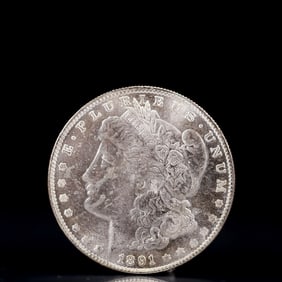 USA Morgan Dollar 1891 Coin