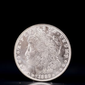 USA Morgan Dollar 1889 Coin