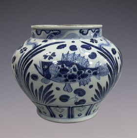 An Exquisite Blue and White Fish and Lotus Pattern Jar