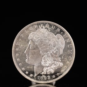 USA Morgan Dollar 1893 Coin