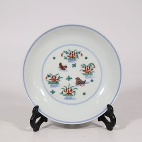 A Rare Doucai Duck Pattern Plate?