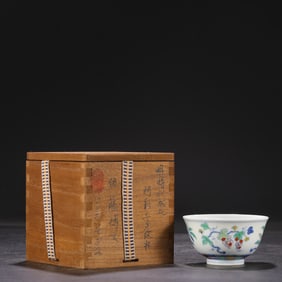 A Rare Doucai Lotus Pattern Flower and Fruit Pattern Cup?