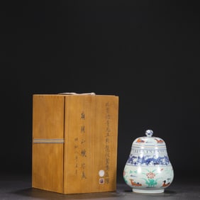 An Exquisite Wucai Mandarin Duck and Dragon Pattern Jar,With Cover