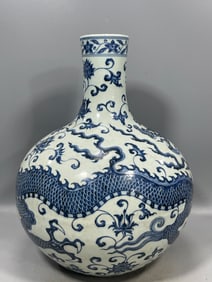 A Rare Blue and White Lotus and Dragon Pattern Vase?