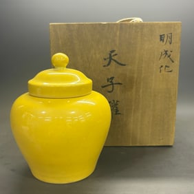 A Rare Yellow Glazed Jar