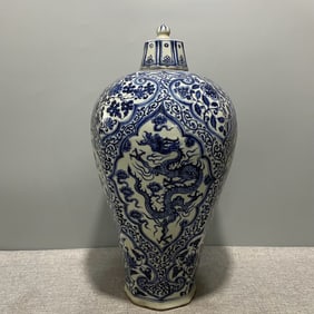 A Rare Blue and White Ruyi Dragon Pattern Vase