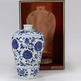 A Rare Blue and White Lotus Pattern Vase?