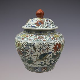 An Exquisite Doucai Blue and White Flower and Bird Pattern Jar