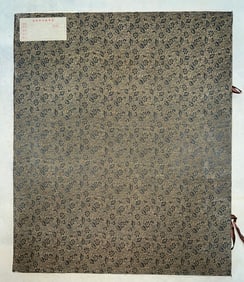 An Fabulous Chinese Ink Insect By Paper