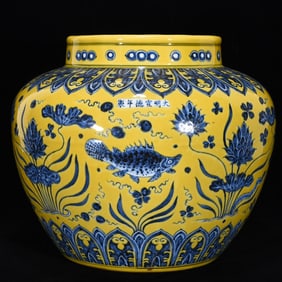 A Rare Yellow Ground Blue and White Fish and Algae Pattern Jar