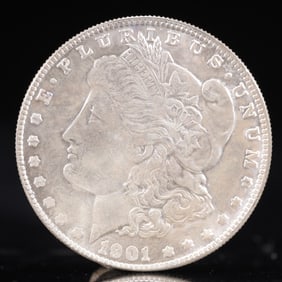 USA Morgan Dollar 1901 Coin