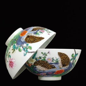 A Pair of Precious Doucai Flower and Bird Pattern Bowls