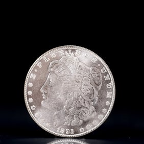 USA Morgan Dollar 1895 Coin